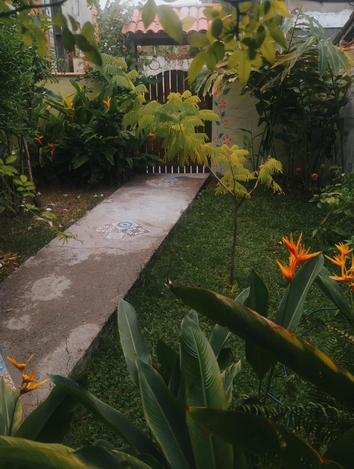 Recanto Bramasole Ilha De Boipeba Velha Boipeba Ngoại thất bức ảnh